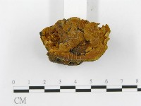 登錄號:F0017923藏品圖，第5張