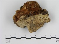 登錄號:F0017924藏品圖，第3張