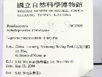 登錄號:F0017925藏品圖，第2張