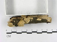登錄號:F0017925藏品圖，第3張