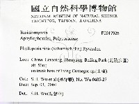 登錄號:F0017926藏品圖，第2張