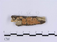登錄號:F0017928藏品圖，第1張
