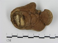 登錄號:F0017929藏品圖，第3張