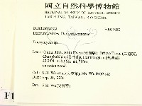 花耳屬藏品圖，第2張