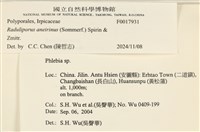 登錄號:F0017931藏品圖，第5張