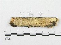 登錄號:F0017933藏品圖，第1張