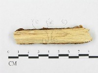 登錄號:F0017933藏品圖，第3張