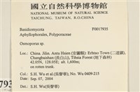 登錄號:F0017935藏品圖，第2張