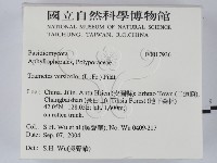 雲芝藏品圖，第2張