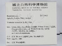 雲芝藏品圖，第2張