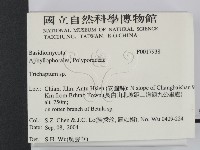 附毛菌屬藏品圖，第2張