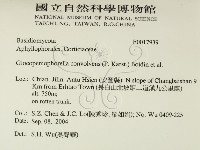 登錄號:F0017939藏品圖，第2張