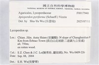 登錄號:F0017940藏品圖，第2張