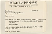 館號:F0017940藏品圖，第2張
