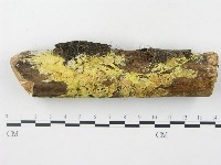 登錄號:F0017941藏品圖，第1張