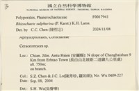 登錄號:F0017941藏品圖，第3張