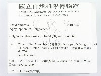登錄號:F0017942藏品圖，第2張
