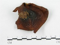 登錄號:F0017942藏品圖，第3張