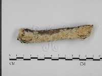 登錄號:F0017943藏品圖，第1張