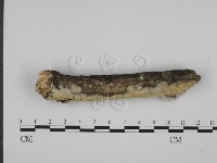 登錄號:F0017943藏品圖，第3張