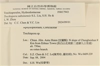 登錄號:F0017943藏品圖，第4張