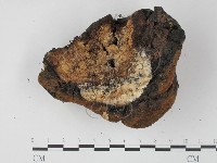 登錄號:F0017945藏品圖，第3張