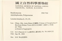登錄號:F0017946藏品圖，第2張