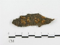登錄號:F0017947藏品圖，第1張