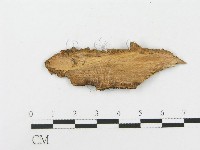 登錄號:F0017947藏品圖，第3張