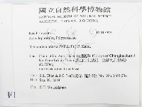 煙管菌藏品圖，第2張