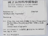 栓菌屬藏品圖，第2張