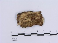 登錄號:F0017952藏品圖，第3張
