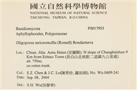 登錄號:F0017953藏品圖，第2張