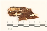 登錄號:F0017953藏品圖，第1張