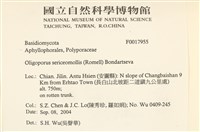 登錄號:F0017955藏品圖，第2張