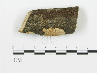 登錄號:F0017956藏品圖，第1張