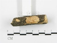 登錄號:F0017956藏品圖，第3張