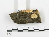 登錄號:F0017956藏品圖，第4張