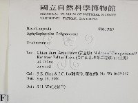 附毛菌屬藏品圖，第2張