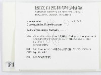 登錄號:F0017958藏品圖，第2張