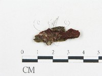 登錄號:F0017958藏品圖，第1張