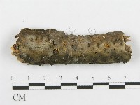登錄號:F0017959藏品圖，第1張