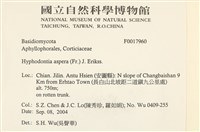 登錄號:F0017960藏品圖，第2張