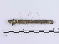 登錄號:F0017961藏品圖，第3張