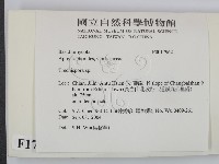 館號:F0017962藏品圖，第2張