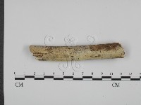 館號:F0017962藏品圖，第1張