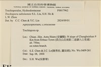 館號:F0017962藏品圖，第4張