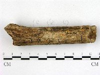 登錄號:F0017965藏品圖，第1張