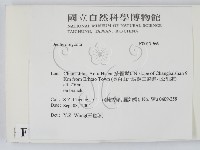 登錄號:F0017966藏品圖，第2張