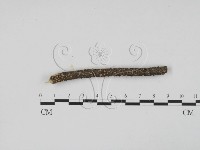 登錄號:F0017966藏品圖，第3張